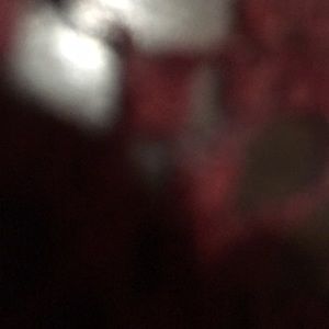 Meet your Posher, Evelyn